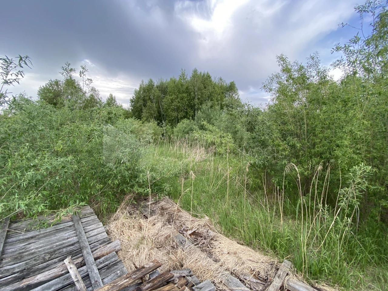 Объект недвижимости фотография 1277989