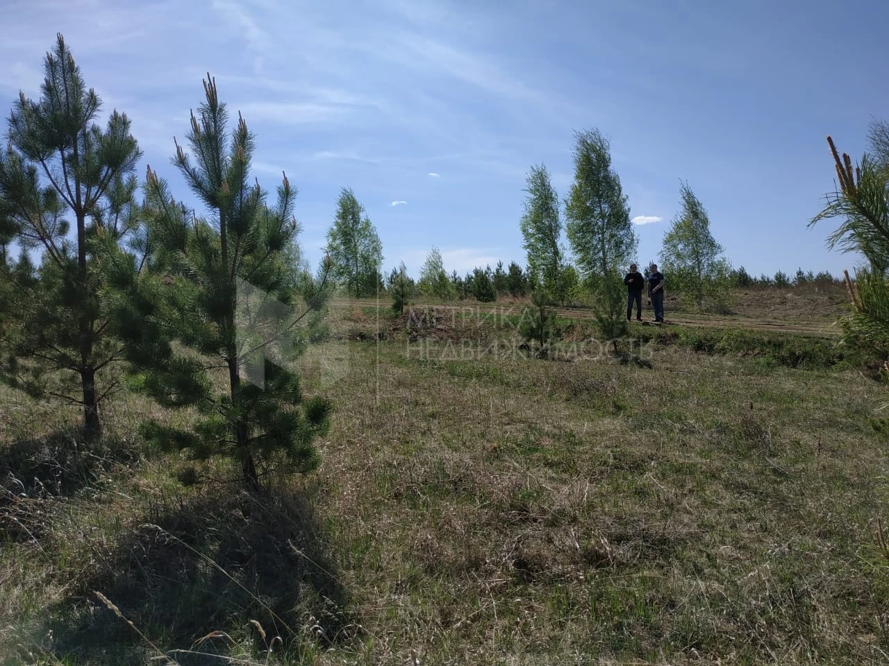 Объект недвижимости фотография 934235
