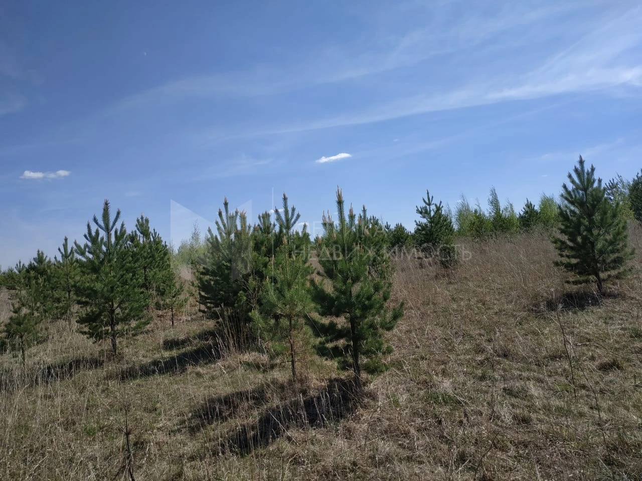 Объект недвижимости фотография 934234