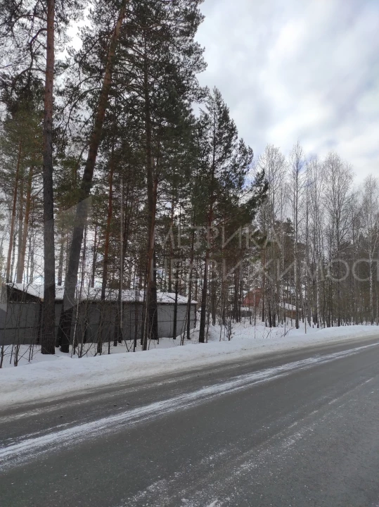 Объект недвижимости фотография 1128713
