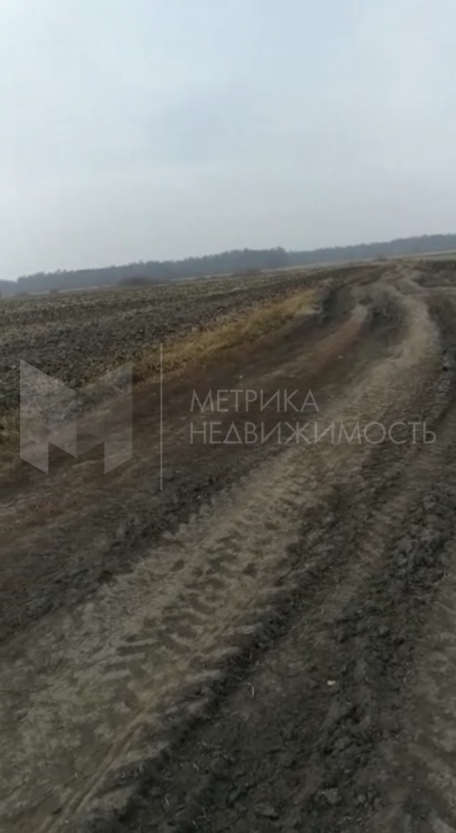 Объект недвижимости фотография 944681
