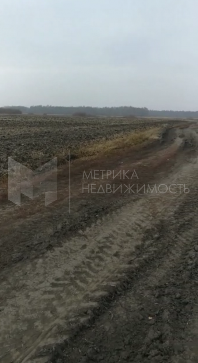 Объект недвижимости фотография 944682