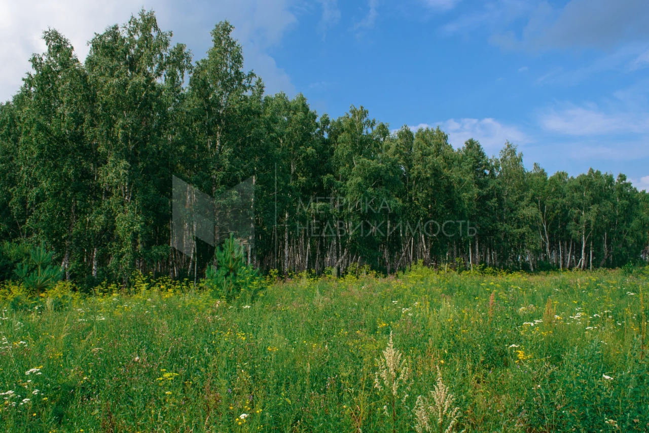 Объект недвижимости фотография 982372
