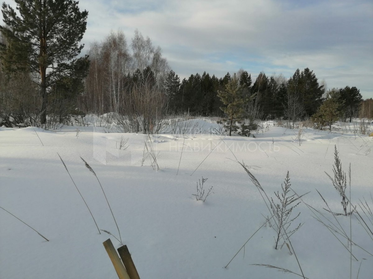 Объект недвижимости фотография 1110325