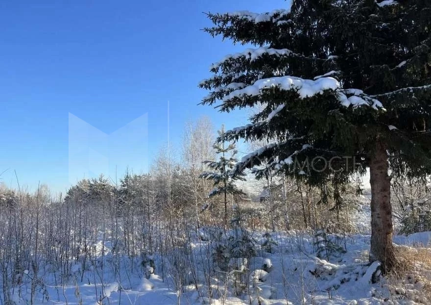 Объект недвижимости фотография 1638068