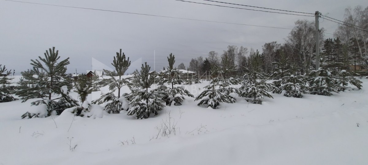 Объект недвижимости фотография 1071627