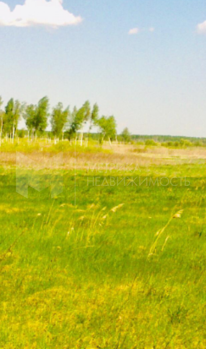 Объект недвижимости фотография 1116225