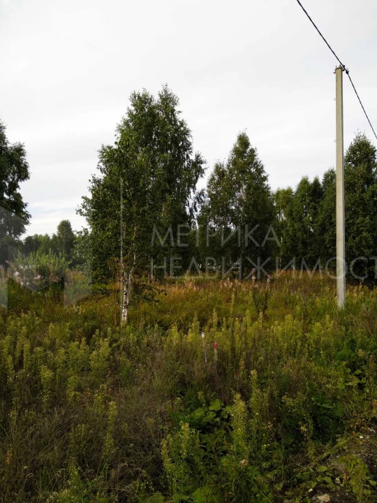 Объект недвижимости фотография 1110725