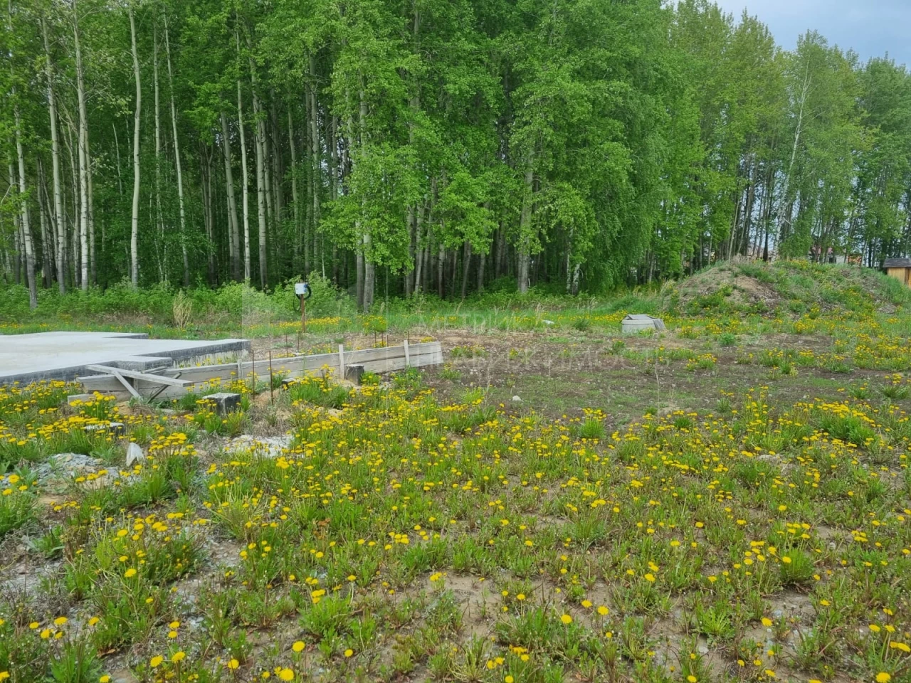 Объект недвижимости фотография 1457028