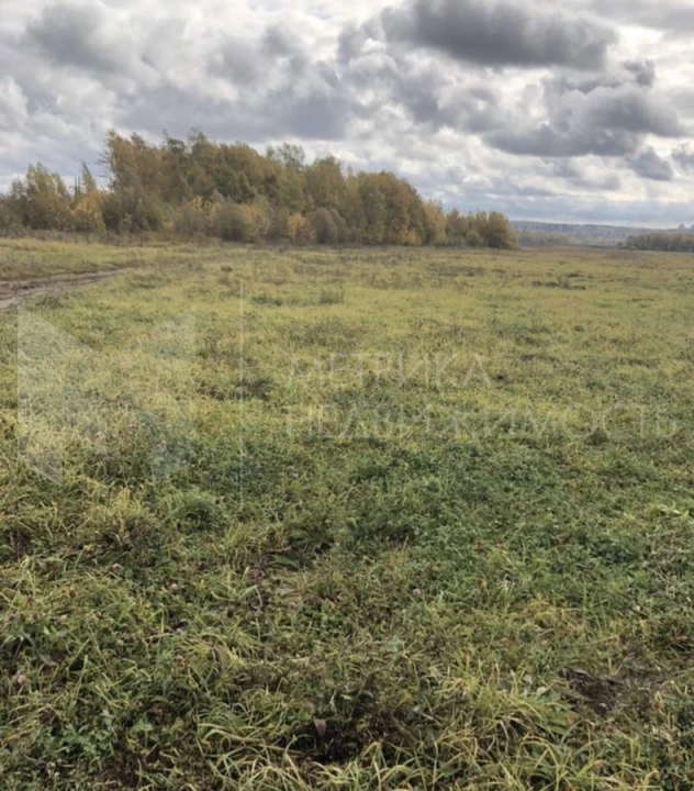Объект недвижимости фотография 1167668