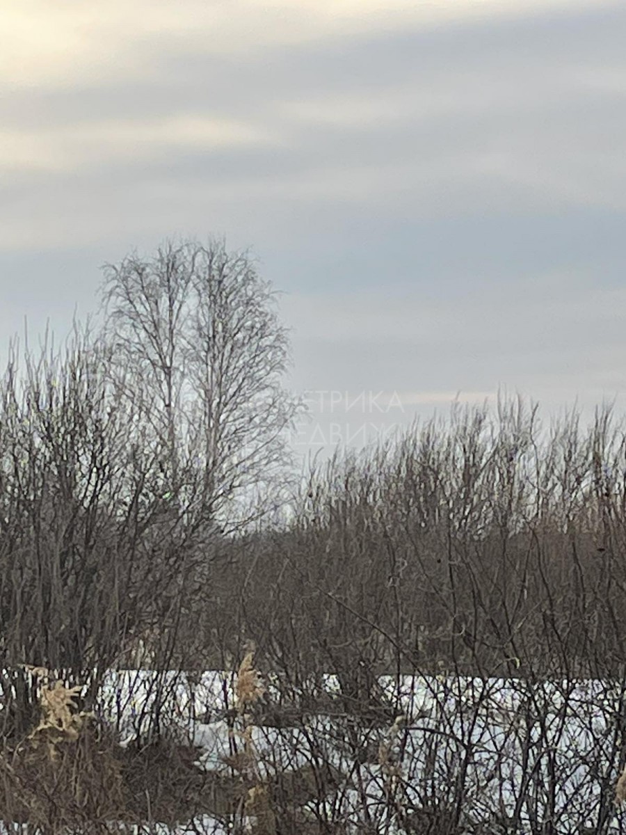 Объект недвижимости фотография 1171830