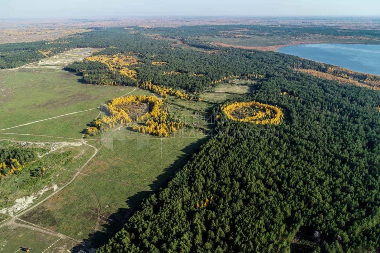 Объект недвижимости фотография 1177061