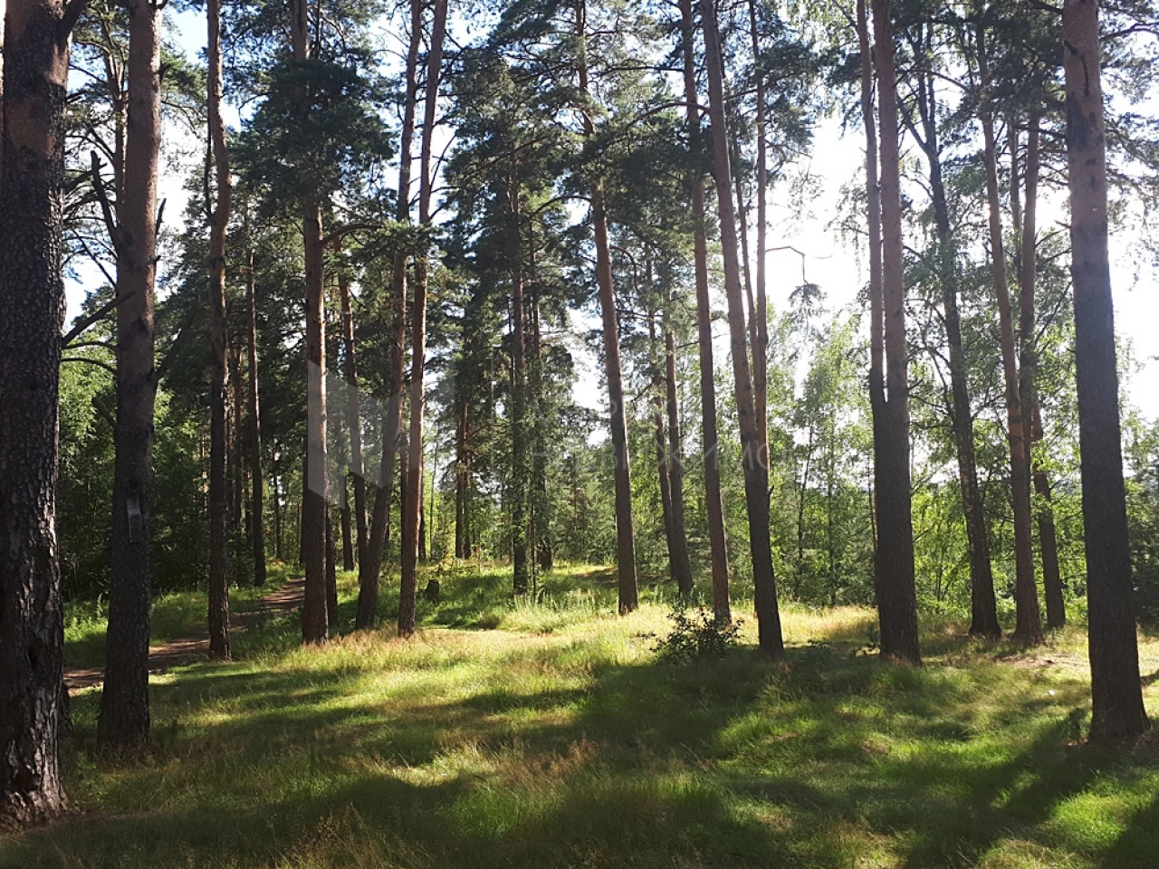 Объект недвижимости фотография 1218828