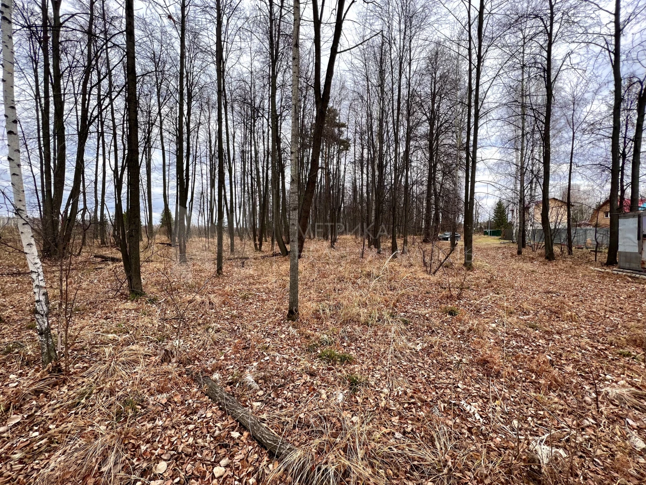 Объект недвижимости фотография 1525602