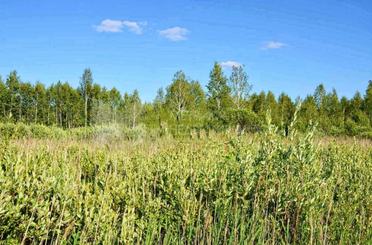 Объект недвижимости фотография 1234619