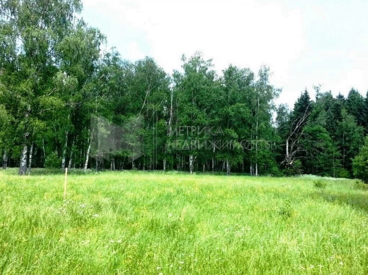 Объект недвижимости фотография 1234616