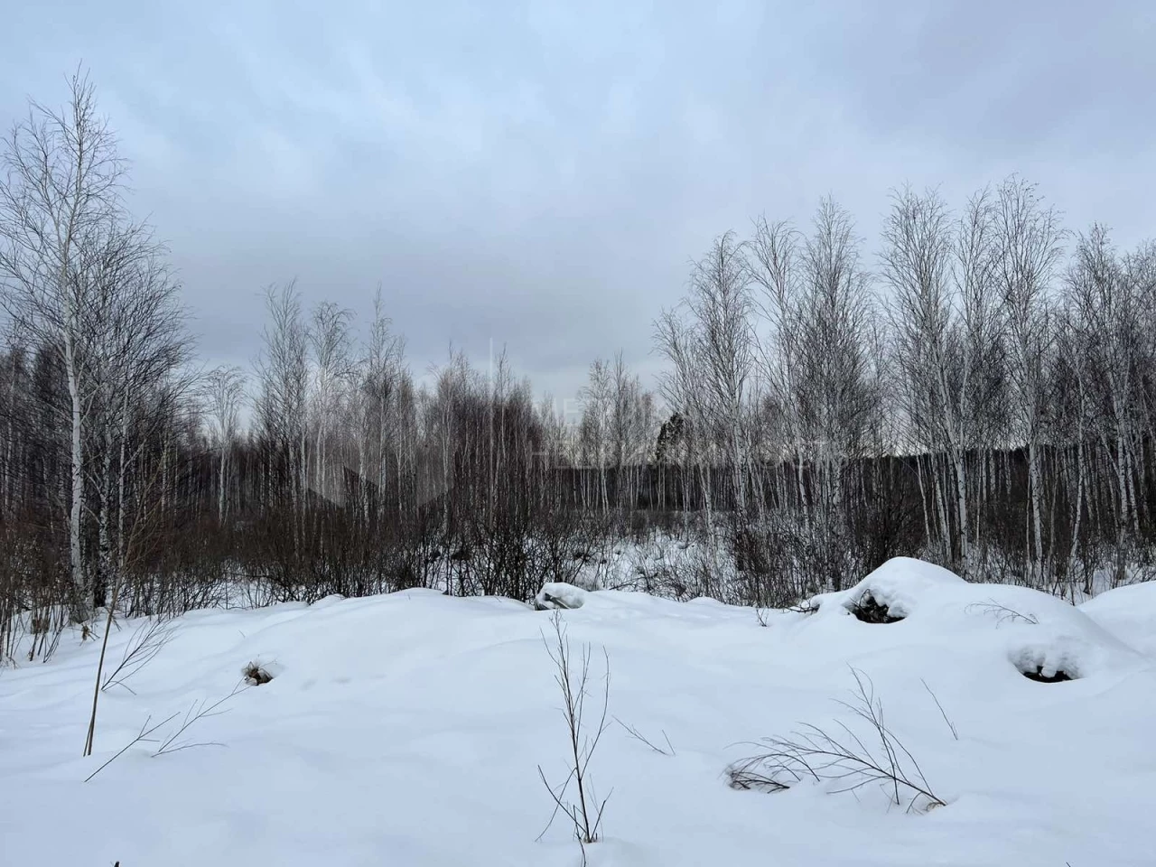 Объект недвижимости фотография 1672239