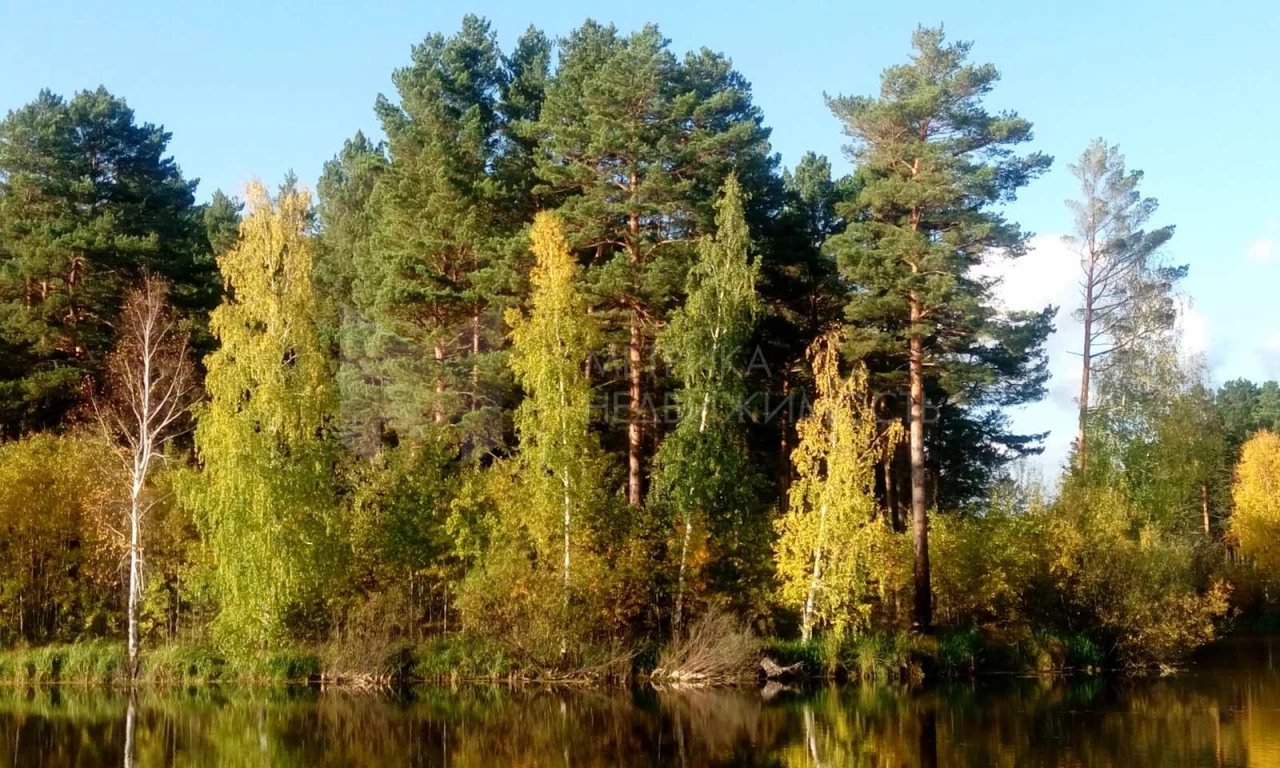 Объект недвижимости фотография 1245248