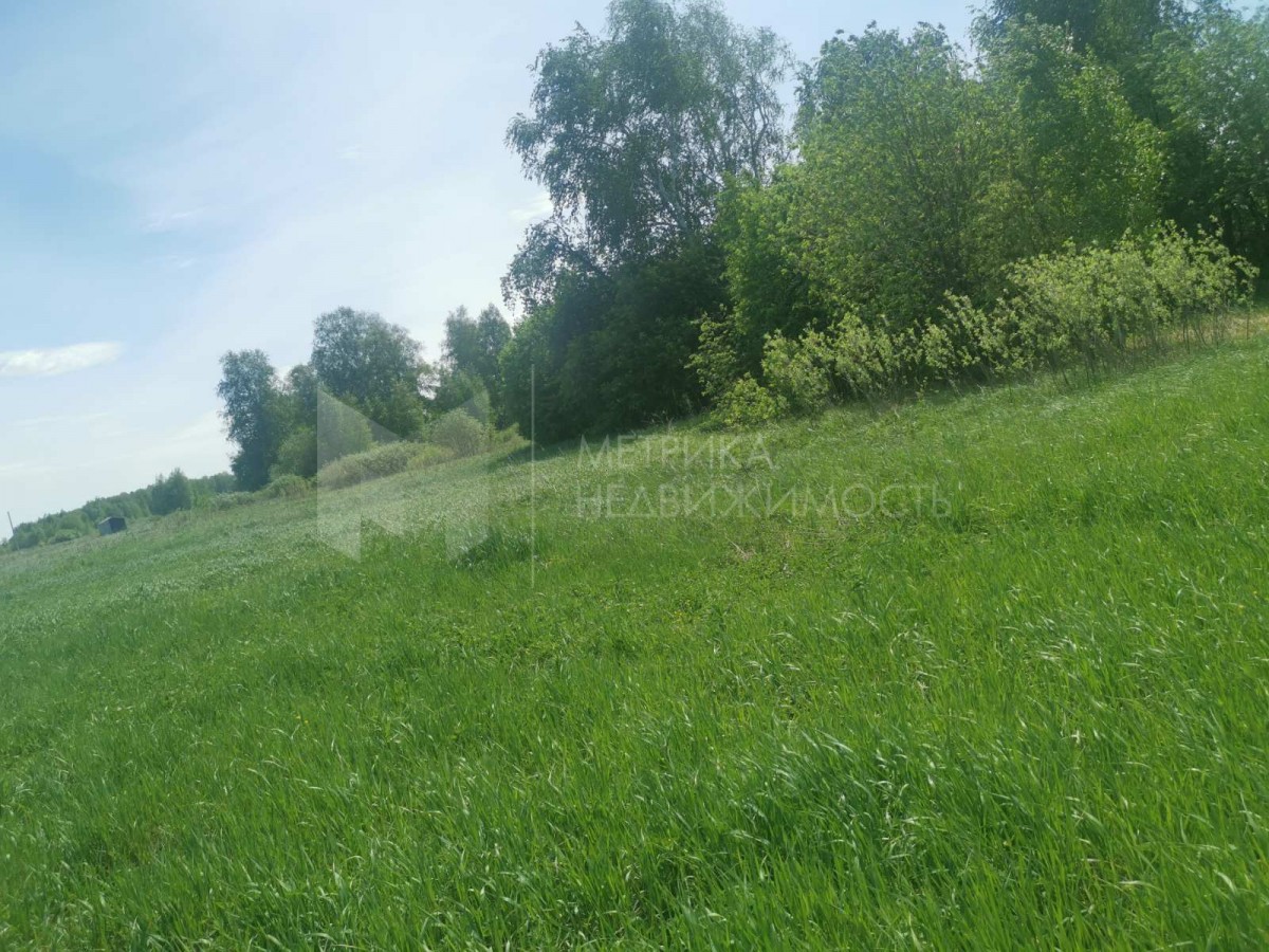 Объект недвижимости фотография 1250384