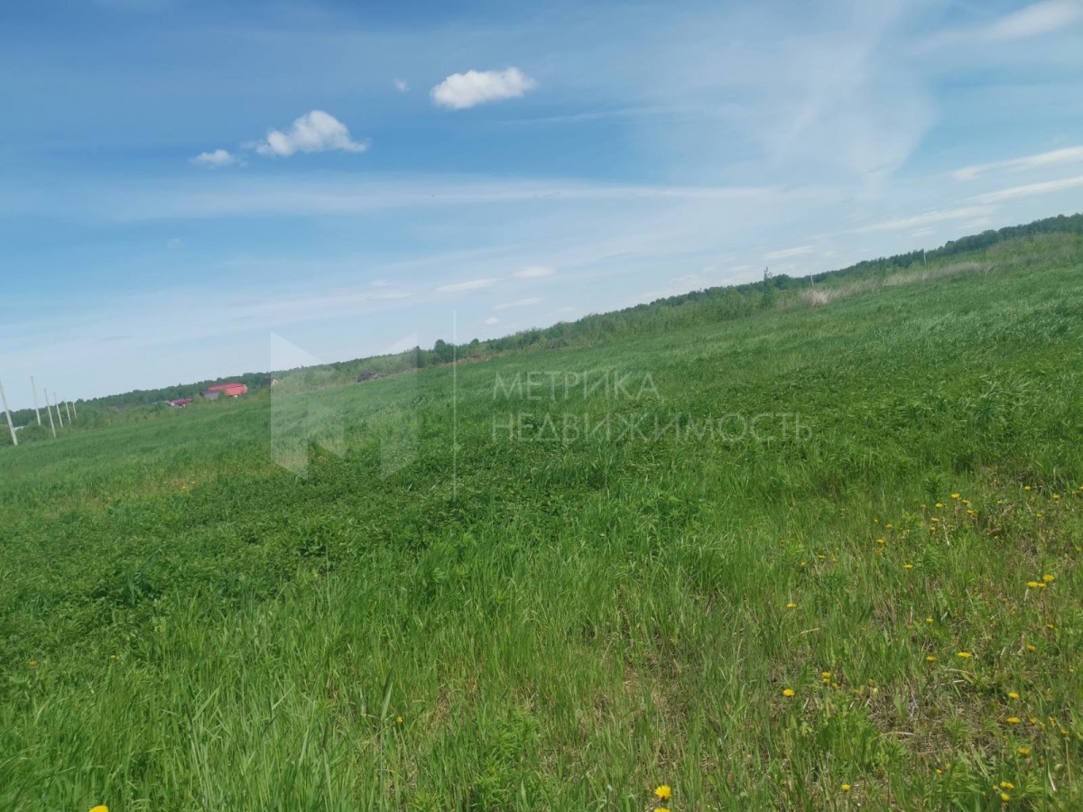 Объект недвижимости фотография 1250386