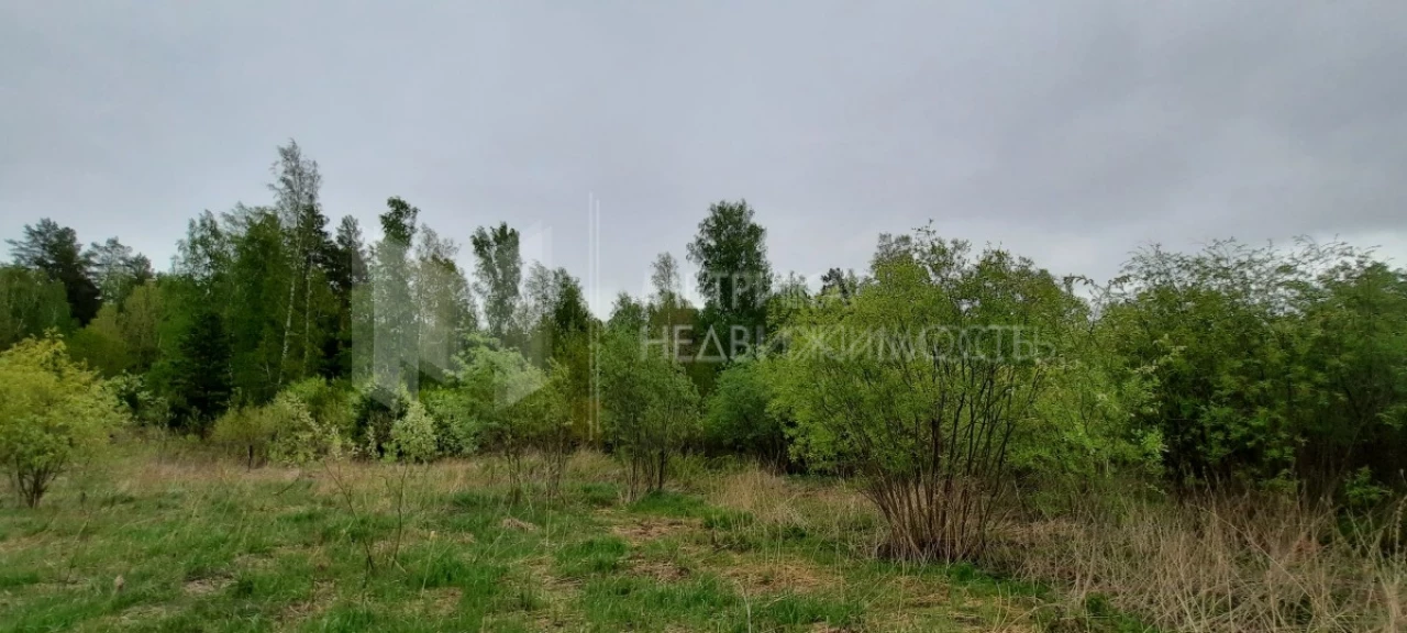 Объект недвижимости фотография 1564042