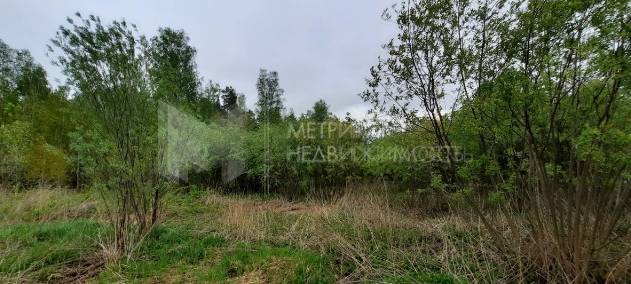 Объект недвижимости фотография 1564044