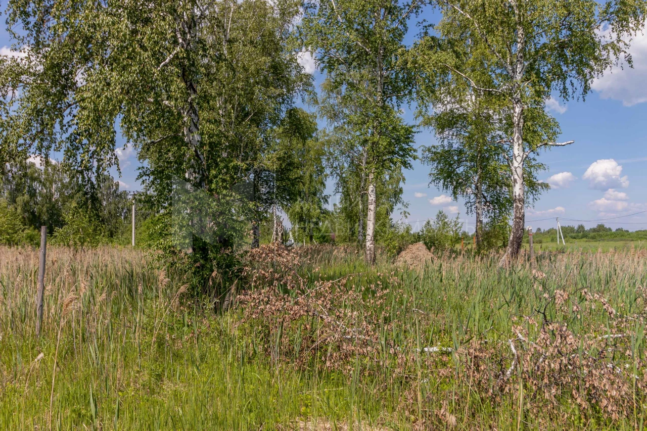 Объект недвижимости фотография 1289965