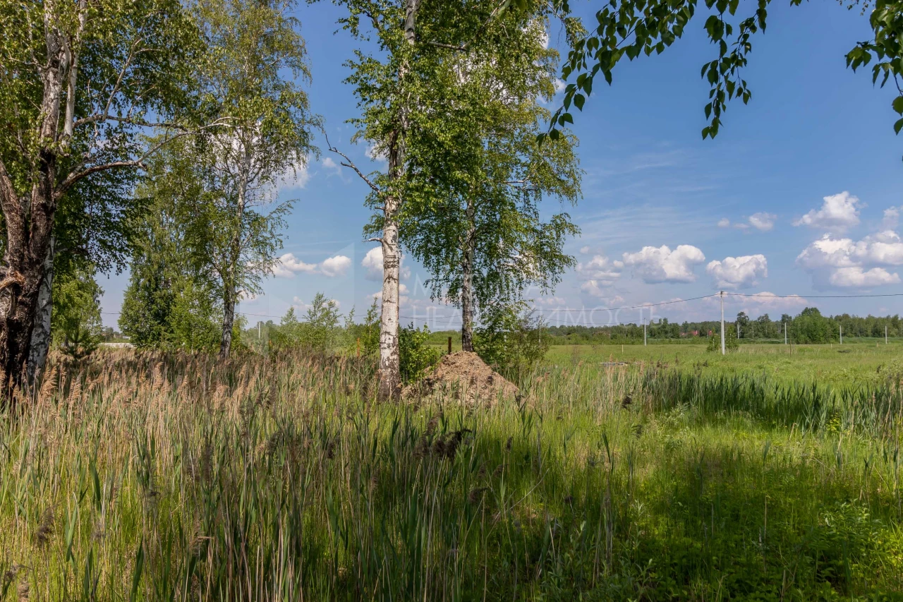 Объект недвижимости фотография 1289851