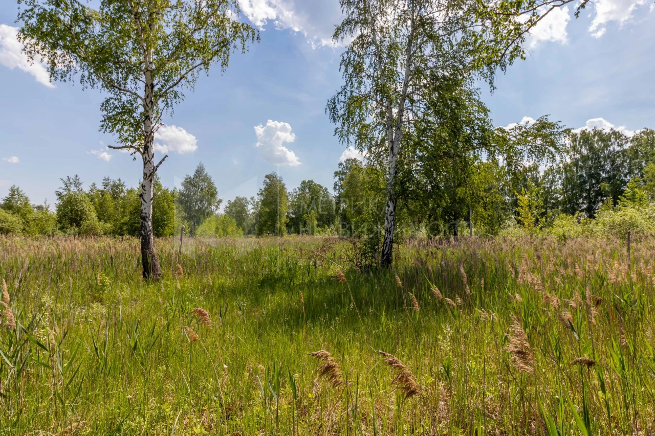 Объект недвижимости фотография 1289736