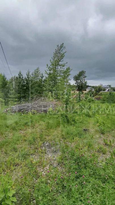 Объект недвижимости фотография 1304895