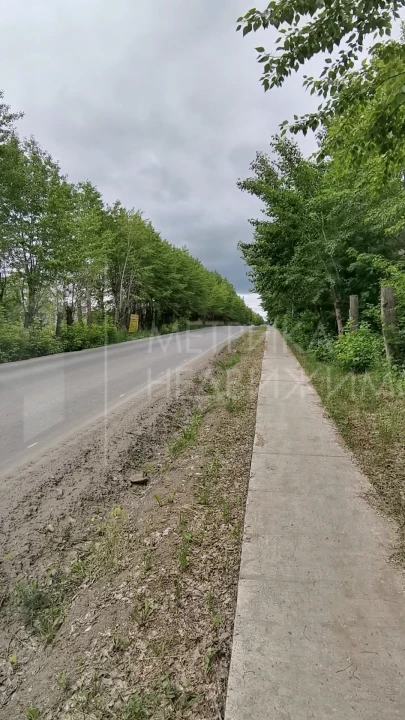 Объект недвижимости фотография 1304891