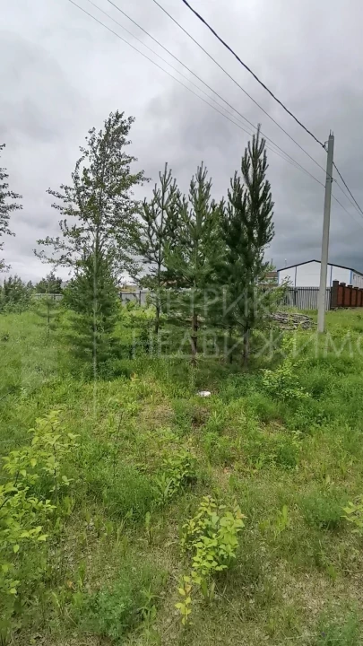 Объект недвижимости фотография 1304892
