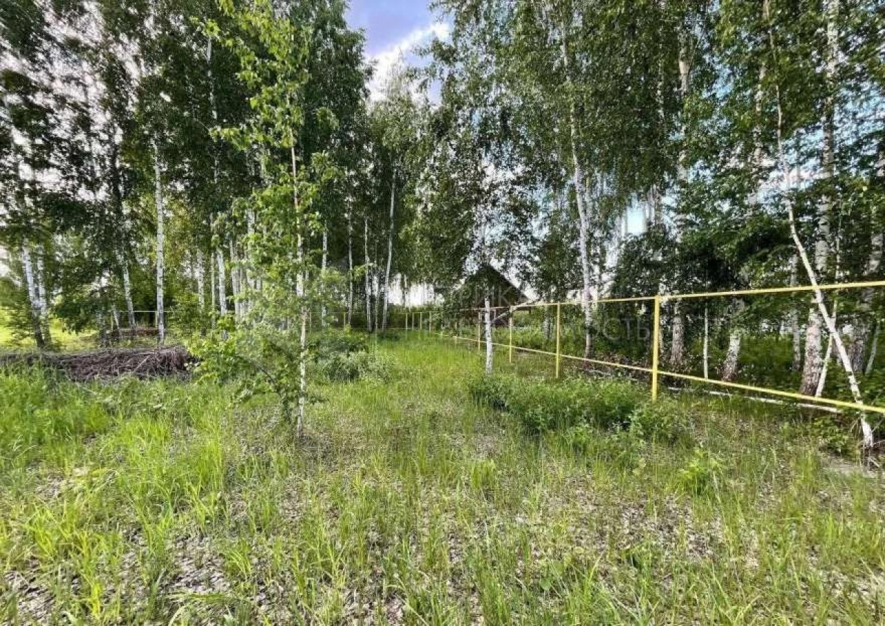Объект недвижимости фотография 1333027