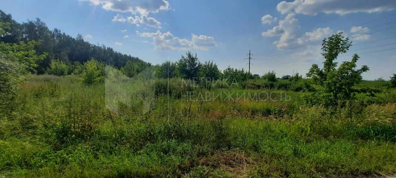 Объект недвижимости фотография 1336238