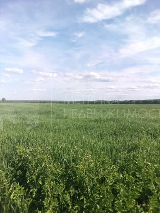 Объект недвижимости фотография 1349909