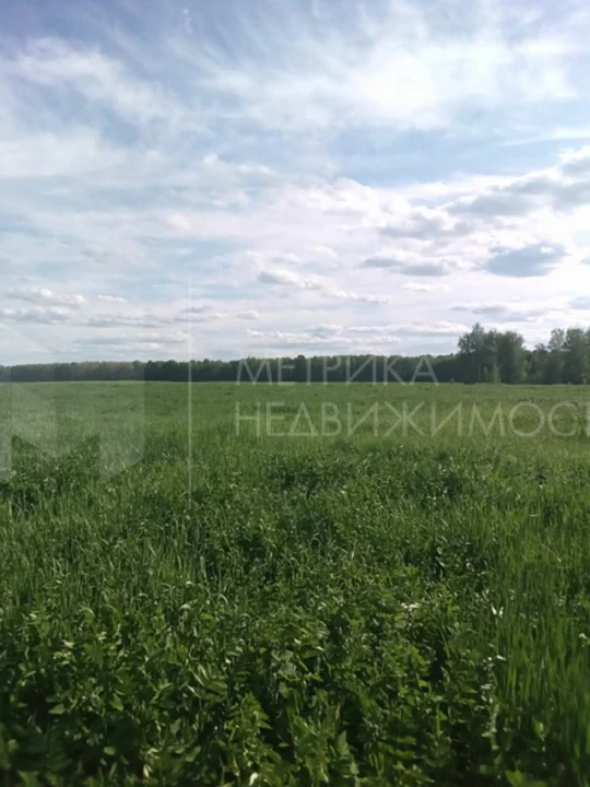 Объект недвижимости фотография 1349911