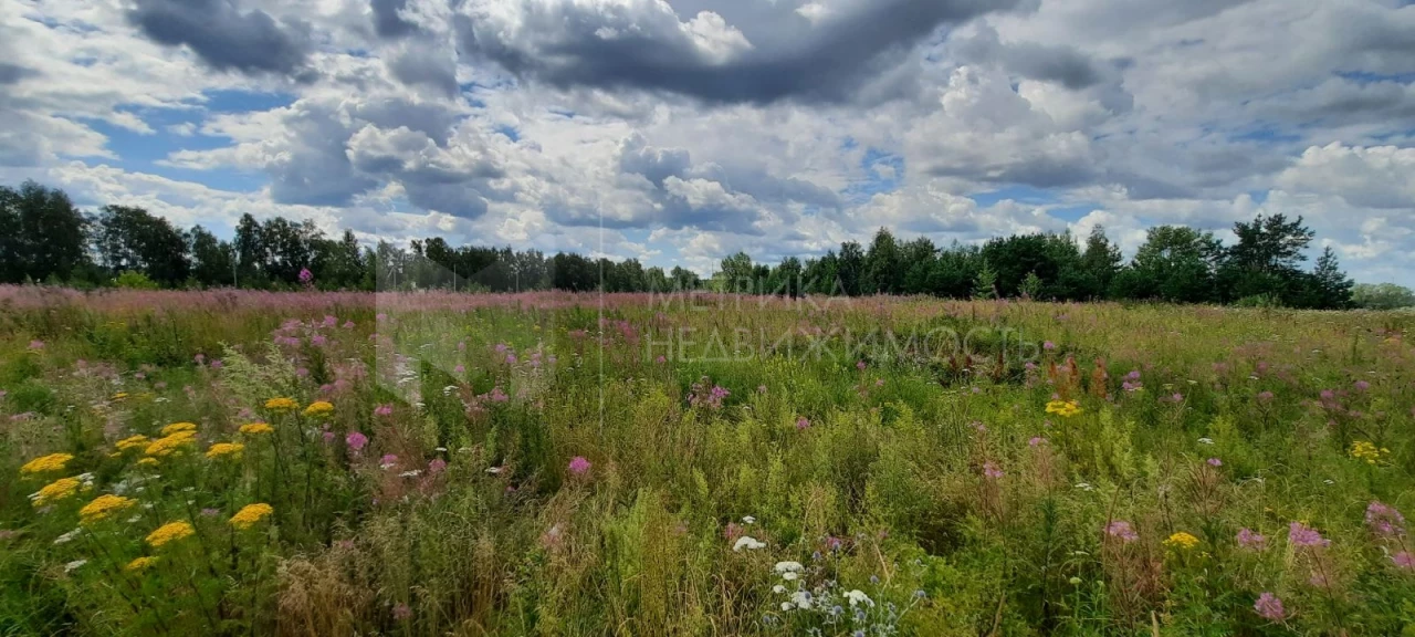 Объект недвижимости фотография 1353522