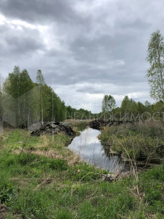 Объект недвижимости фотография 1393877