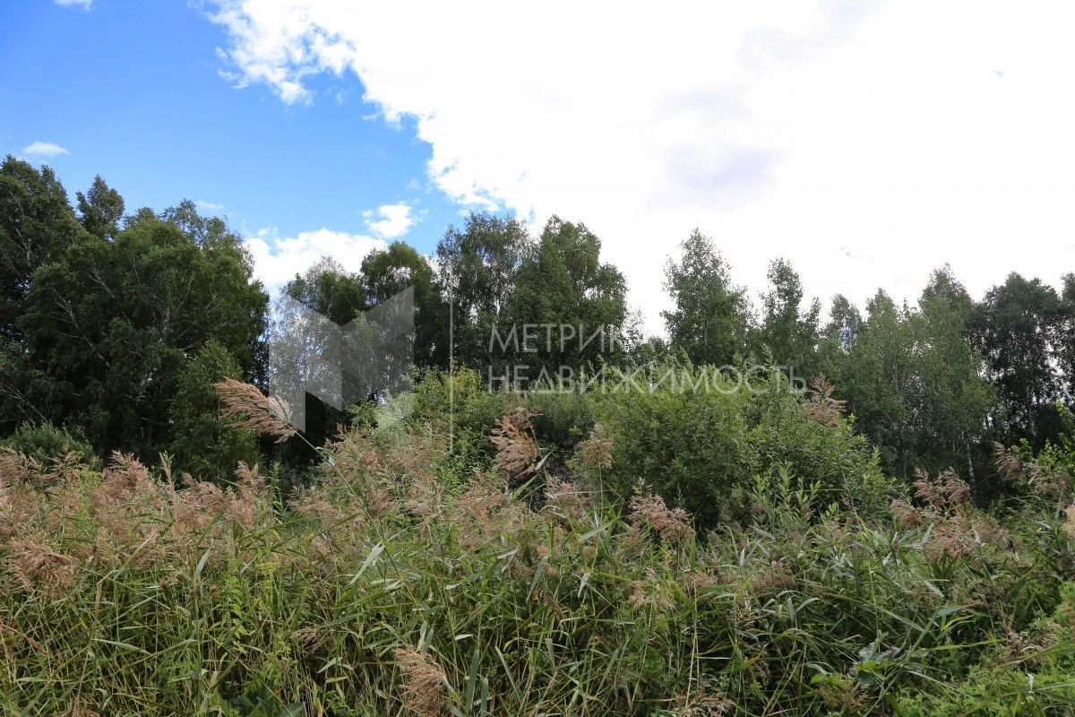 Объект недвижимости фотография 1496504