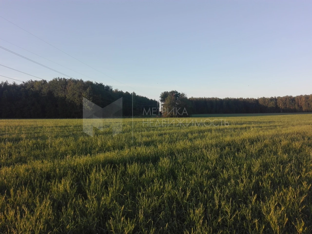 Объект недвижимости фотография 1551628