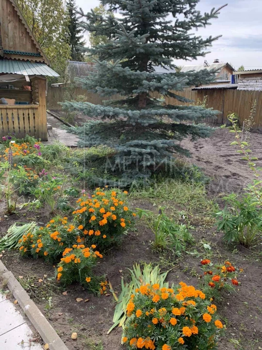 Объект недвижимости фотография 1472156