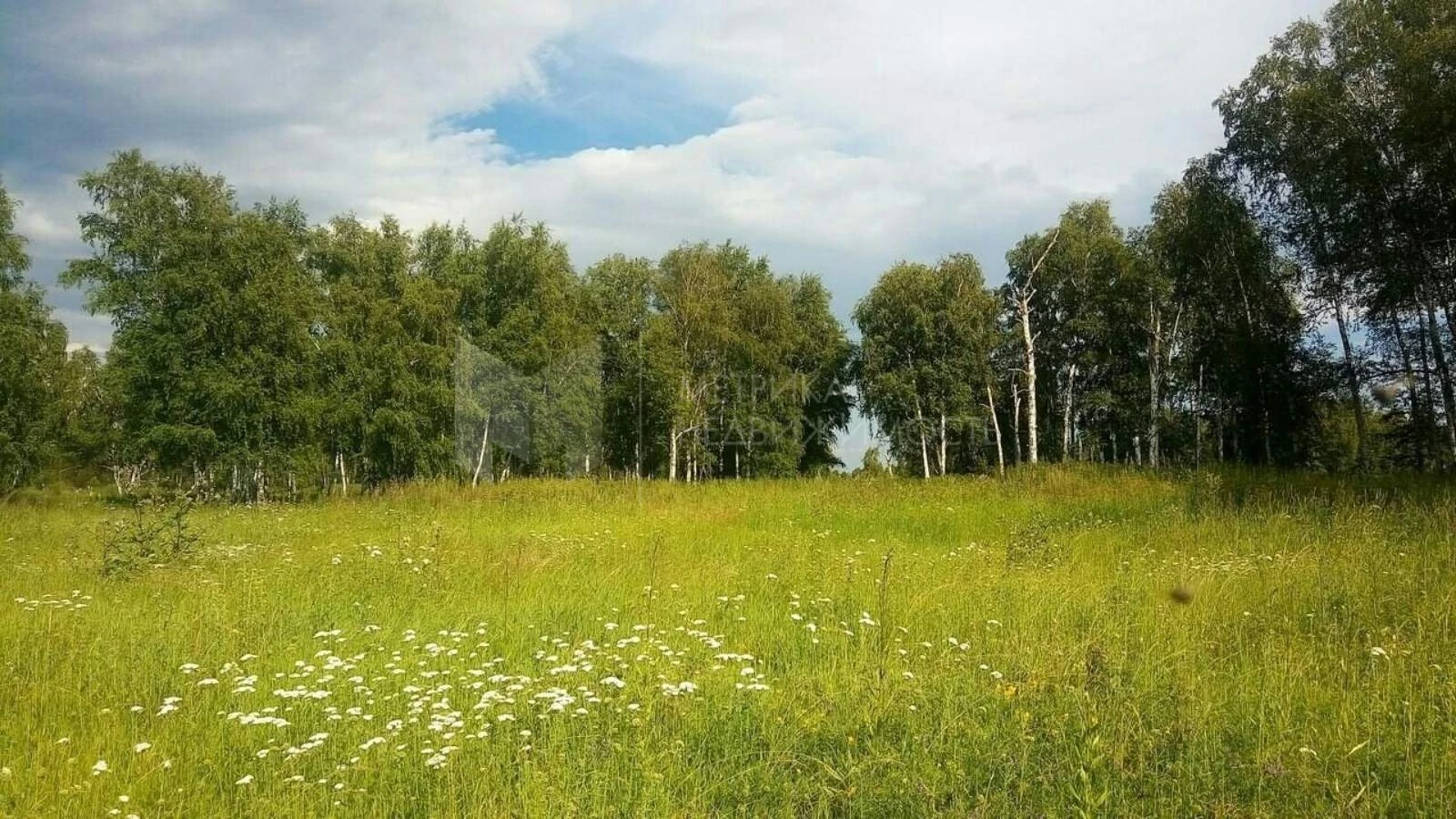 Земельные участки в тюмени. Ценапосадкисомны 10 га.Тюмень.