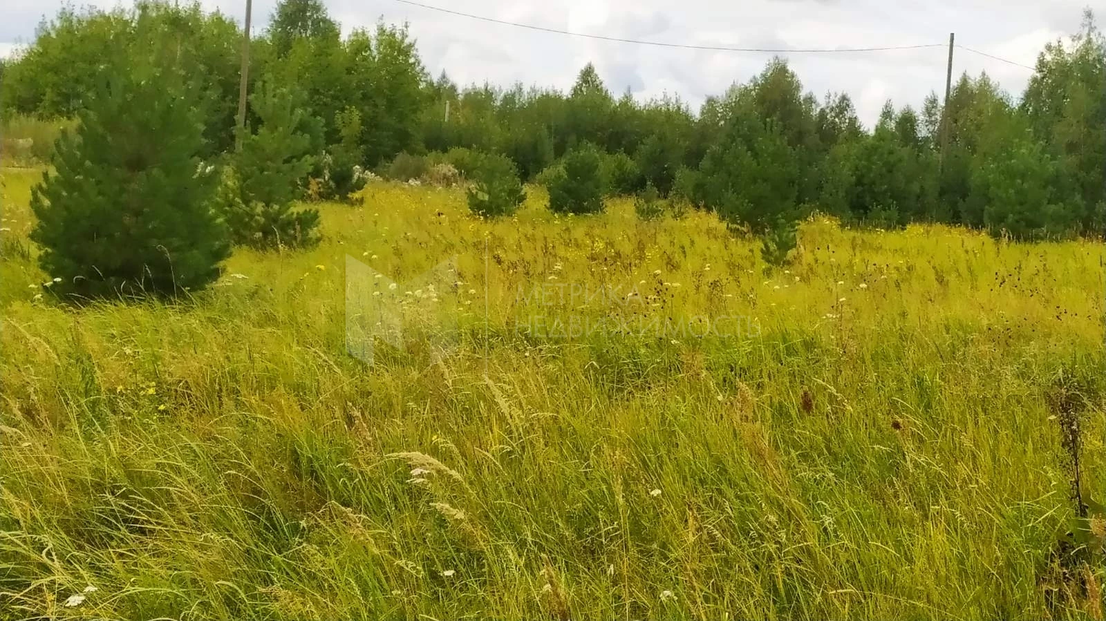 Участки В Первозванном Воронеж Купить