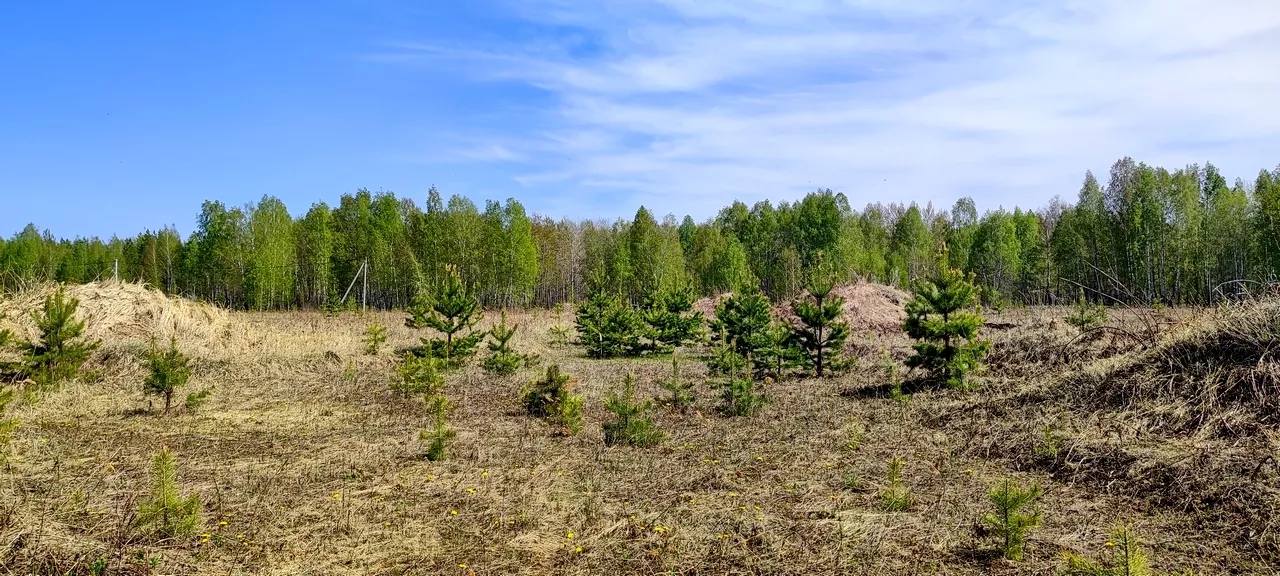 Купить Участок В Тюменской Области Недорого