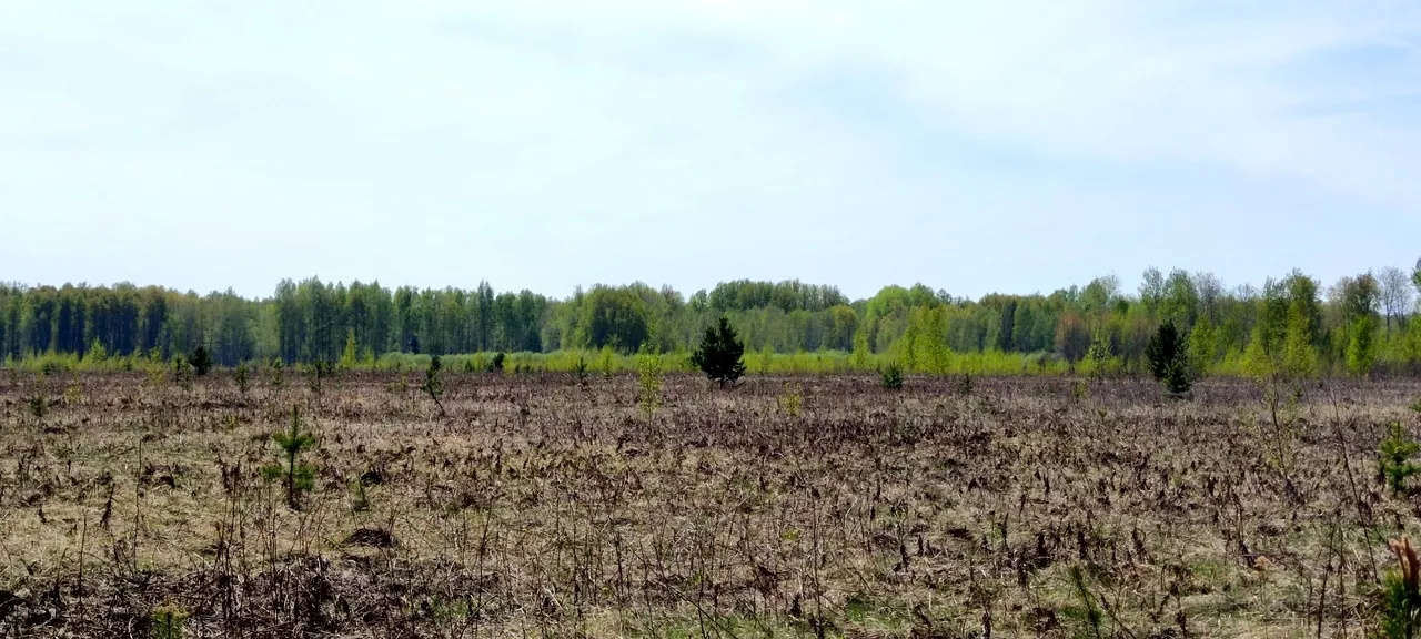 Купить Землю В Тюмени Под Строительство