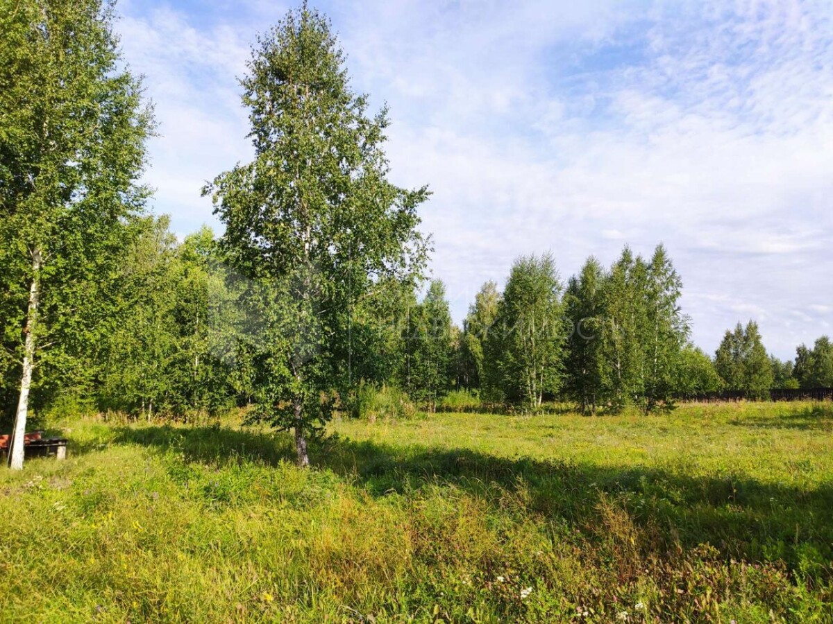 Купить Участок В Тюменской Области Недорого