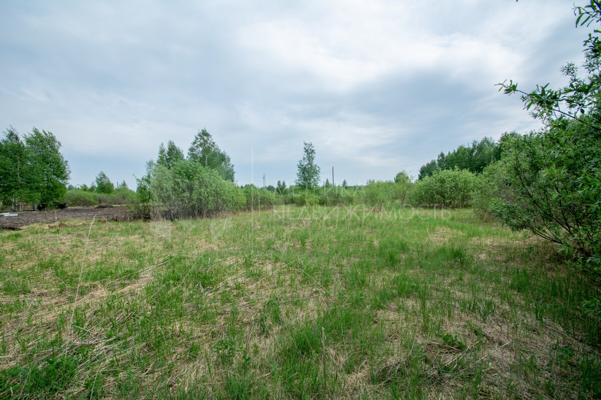 Загородная недвижимость в районе Новотарманский в Тюмени: продажа  загородной недвижимости