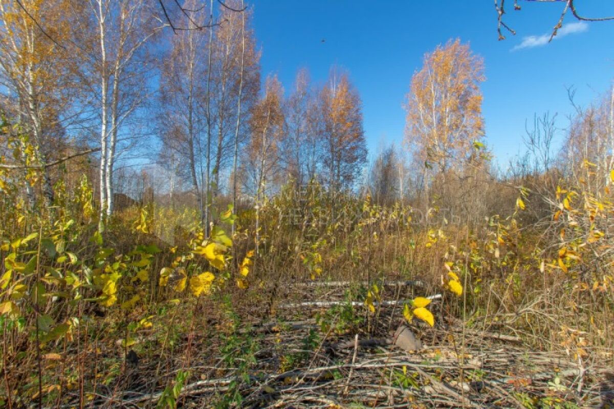 Снт Луч Тюмень Купить Участок