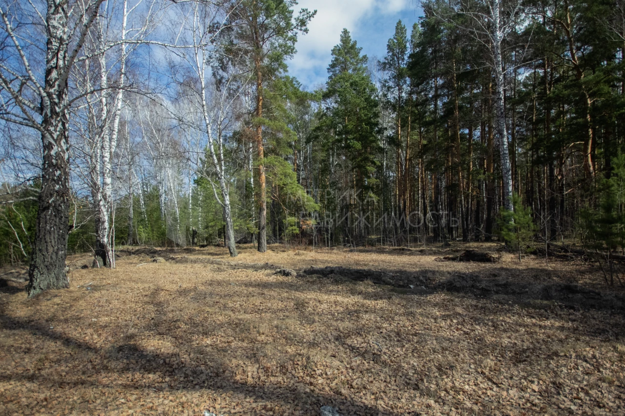 Объект недвижимости фотография 1185199