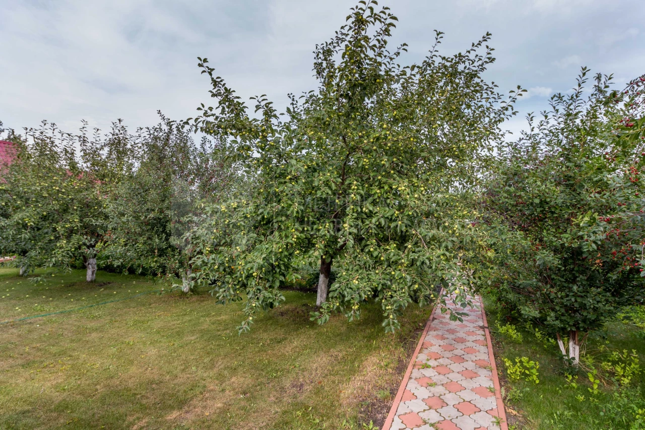 Объект недвижимости фотография 1356454